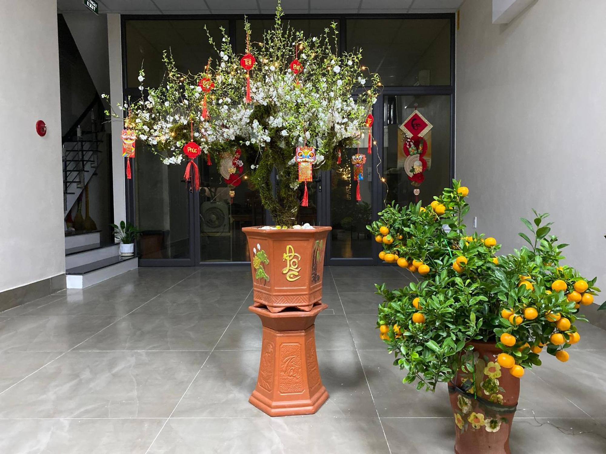 G-Space Apartment Hai Phong Luaran gambar